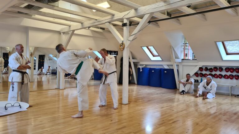 Shinkyokushin Karate