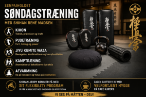 Kyokushinkai træning søndag 26.07-2026